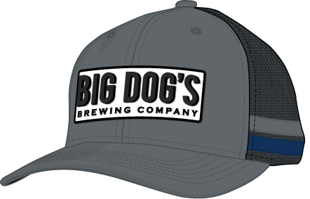 Big Dog's Mid Profile Trucker Stripe Navy/Charcoal